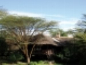 imgs Kenia/MaraSimba/