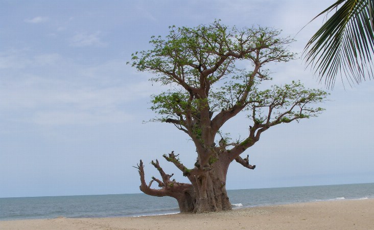 Badeurlaub Senegal